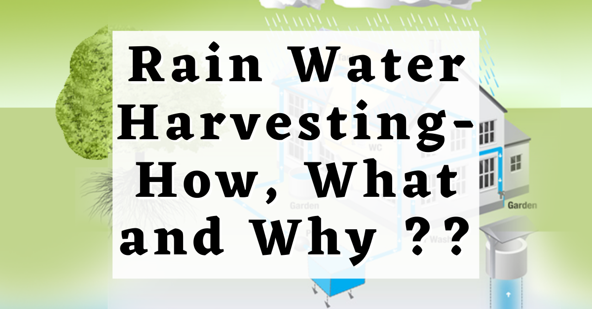 Rain Water Harvesting - A Comprehensive Guide To Collecting And ...