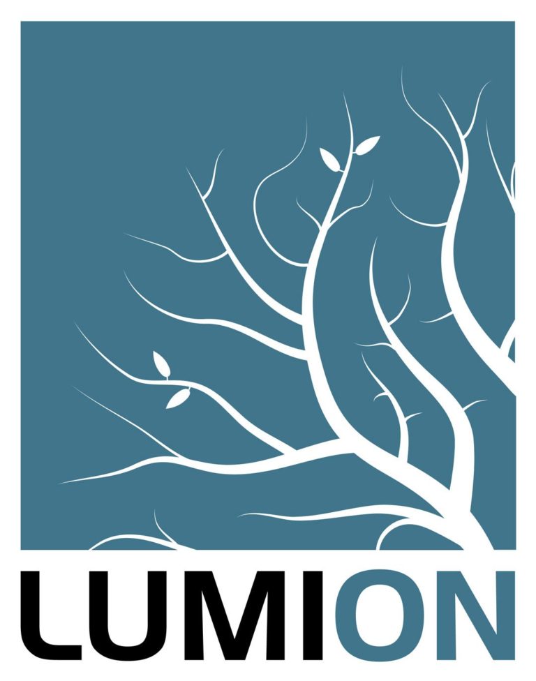 Lumion Life logo bdaflorida